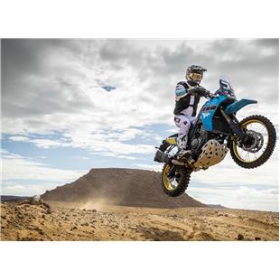 Yamaha Tenere 700 Rally (2025)