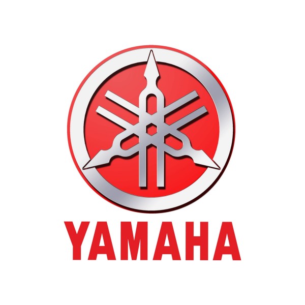 Izvenkrmni motor Yamaha F6DMH           
